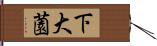 下大薗 Hand Scroll