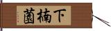 下楠薗 Hand Scroll