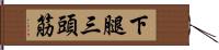 下腿三頭筋 Hand Scroll