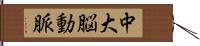中大脳動脈 Hand Scroll