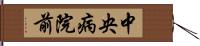 中央病院前 Hand Scroll