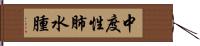 中度性肺水腫 Hand Scroll