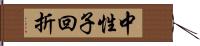 中性子回折 Hand Scroll