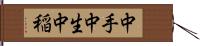 中手 Hand Scroll