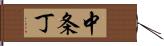 中条丁 Hand Scroll