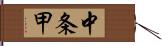 中条甲 Hand Scroll