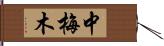 中梅木 Hand Scroll