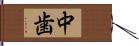 中歯 Hand Scroll