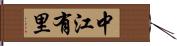 中江有里 Hand Scroll