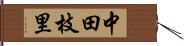 中田枝里 Hand Scroll