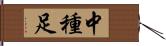 中種足 Hand Scroll