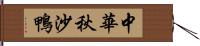 中華秋沙鴨 Hand Scroll