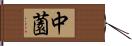 中薗 Hand Scroll