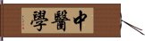 中医学 Hand Scroll