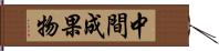 中間成果物 Hand Scroll