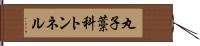 丸子藁科トンネル Hand Scroll
