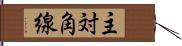 主対角線 Hand Scroll