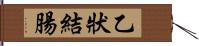 乙狀結腸 Hand Scroll