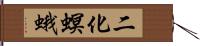 二化螟蛾 Hand Scroll