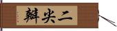 二尖瓣 Hand Scroll