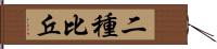 二種比丘 Hand Scroll