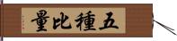 五種比量 Hand Scroll