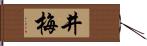 井梅 Hand Scroll