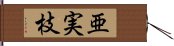 亜実枝 Hand Scroll