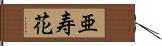 亜寿花 Hand Scroll