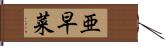 亜早菜 Hand Scroll