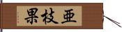 亜枝果 Hand Scroll