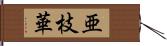 亜枝華 Hand Scroll