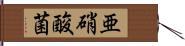 亜硝酸菌 Hand Scroll