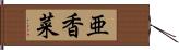 亜香菜 Hand Scroll