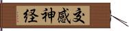 交感神経 Hand Scroll