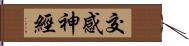 交感神經 Hand Scroll