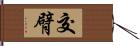 交臂 Hand Scroll