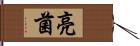 亮菌 Hand Scroll