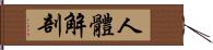 人體解剖 Hand Scroll