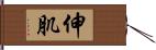 伸肌 Hand Scroll