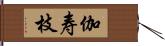 伽寿枝 Hand Scroll