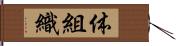 体組織 Hand Scroll