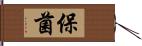 保菌 Hand Scroll