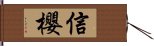 信櫻 Hand Scroll