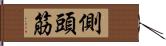 側頭筋 Hand Scroll