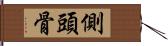 側頭骨 Hand Scroll