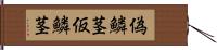 偽鱗茎 Hand Scroll
