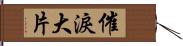 催淚大片 Hand Scroll