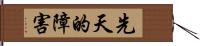 先天的障害 Hand Scroll