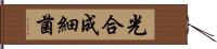 光合成細菌 Hand Scroll